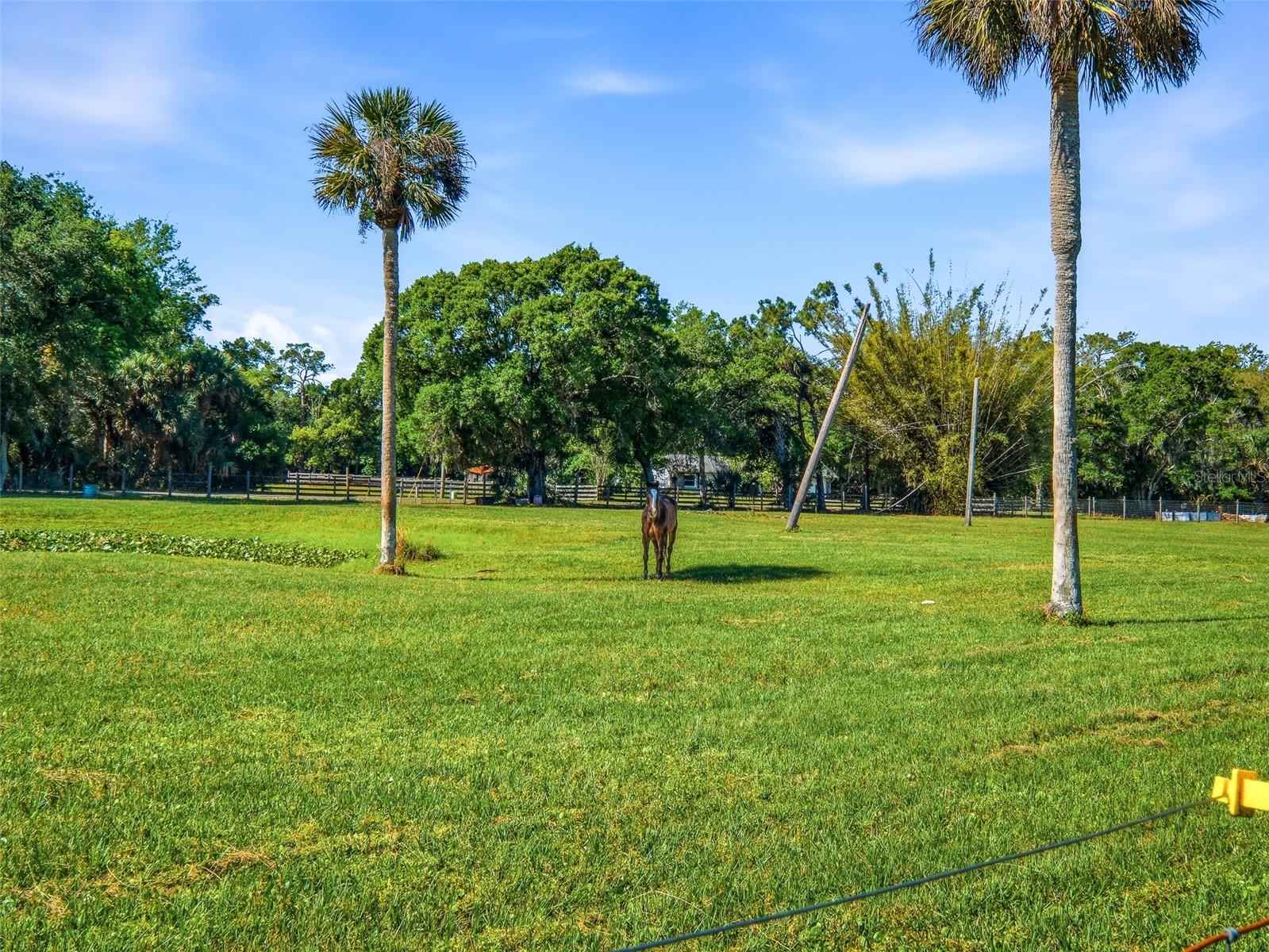 Image 45 of 59 For 479 Maytown Road