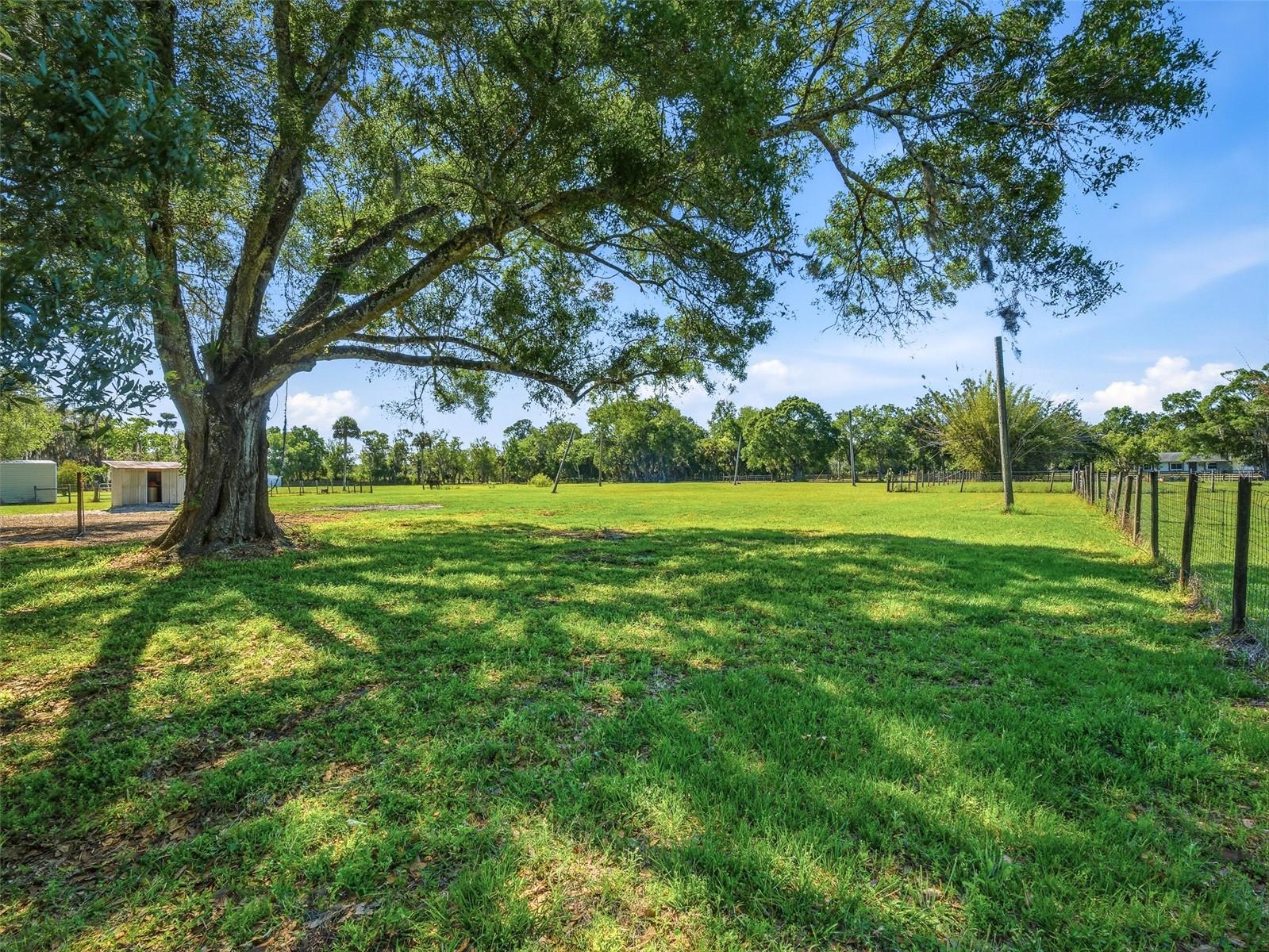 Image 49 of 59 For 479 Maytown Road