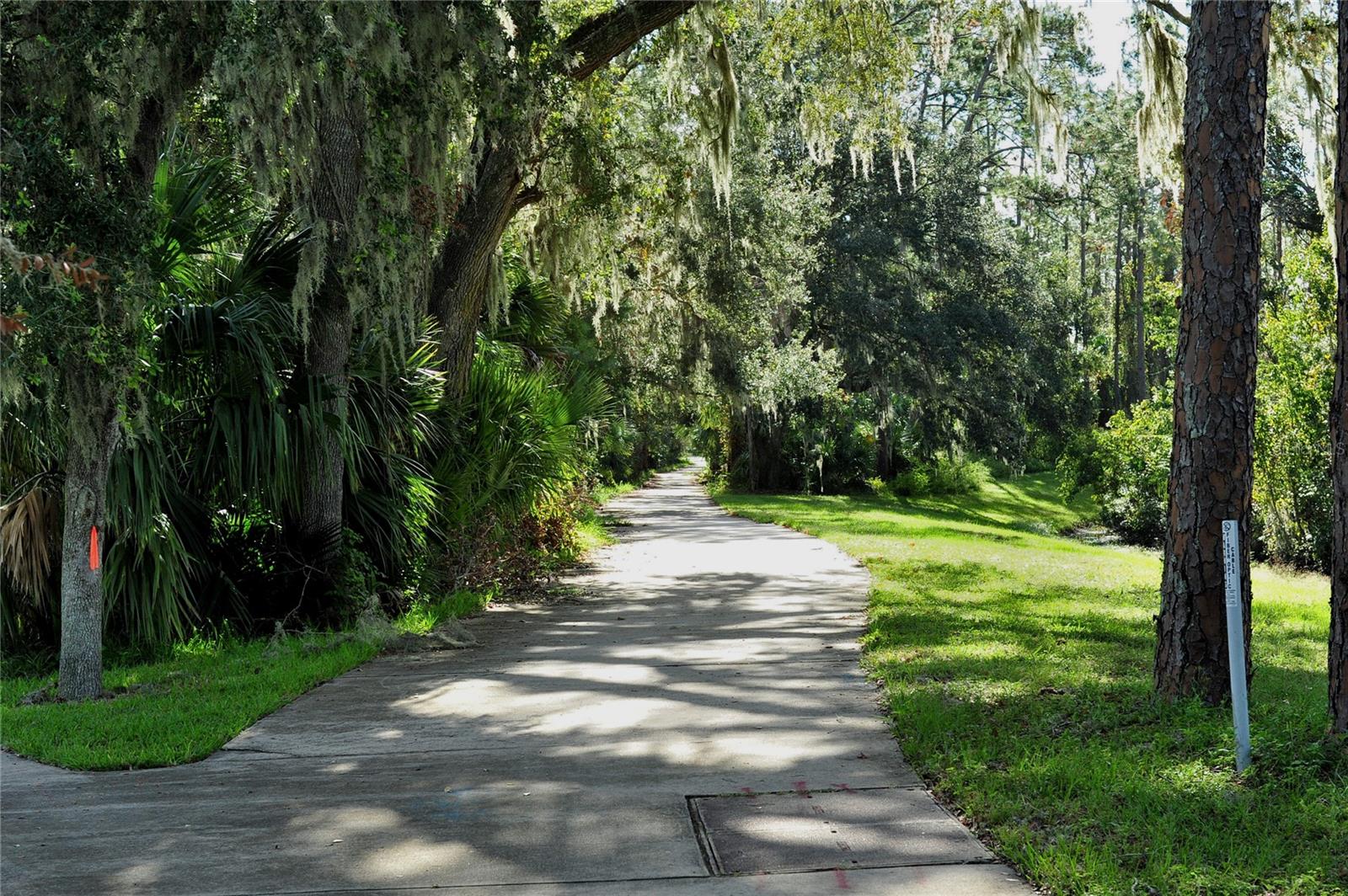 Image 98 of 100 For 3431 Torre Boulevard