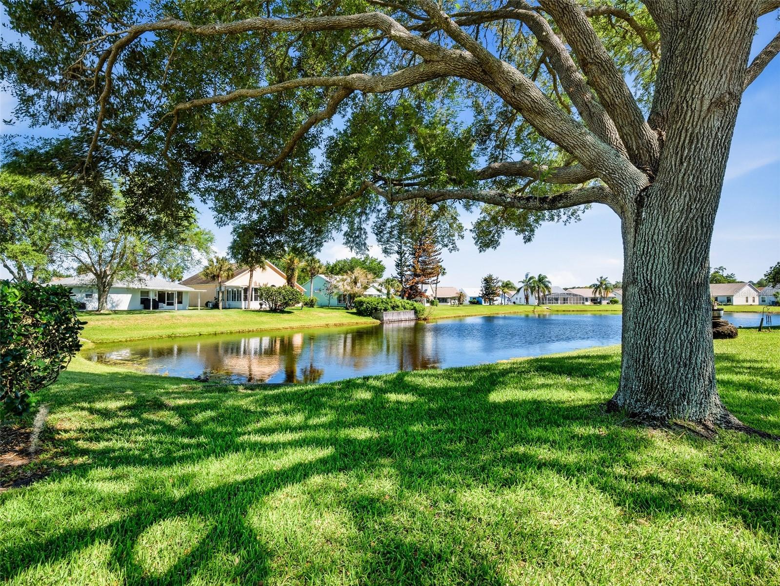 Image 46 of 49 For 659 Wellesley Court