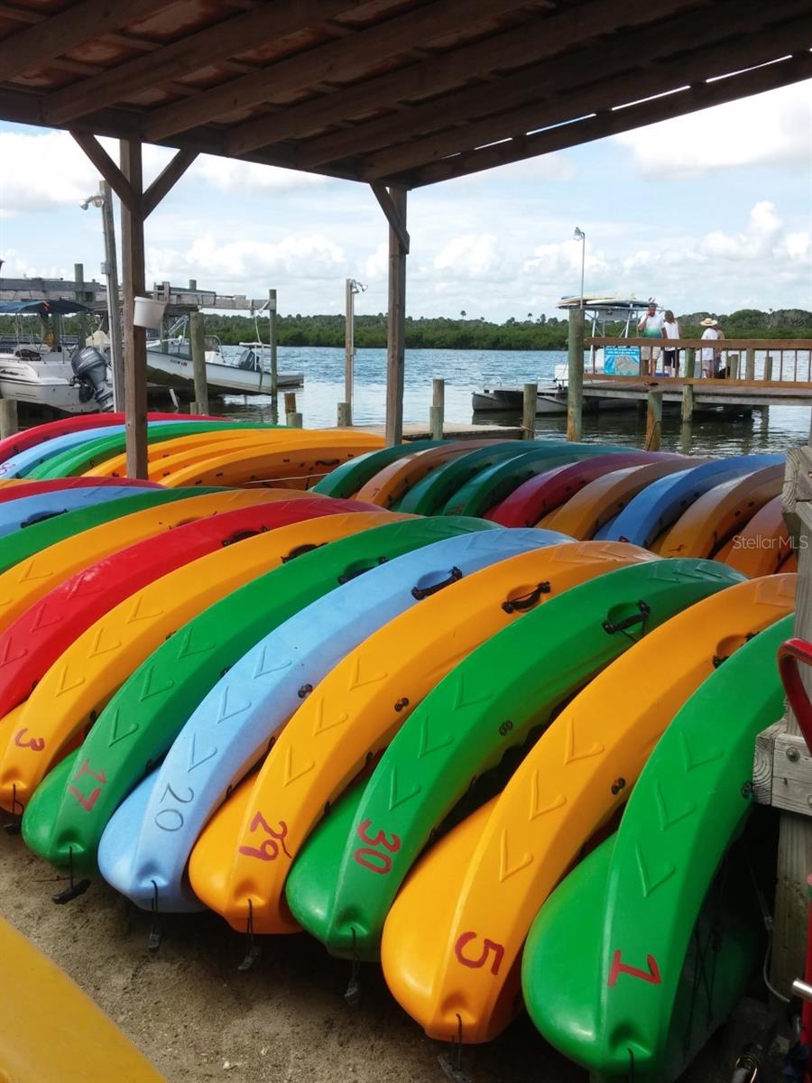 Image 71 of 82 For 121 Palm Way