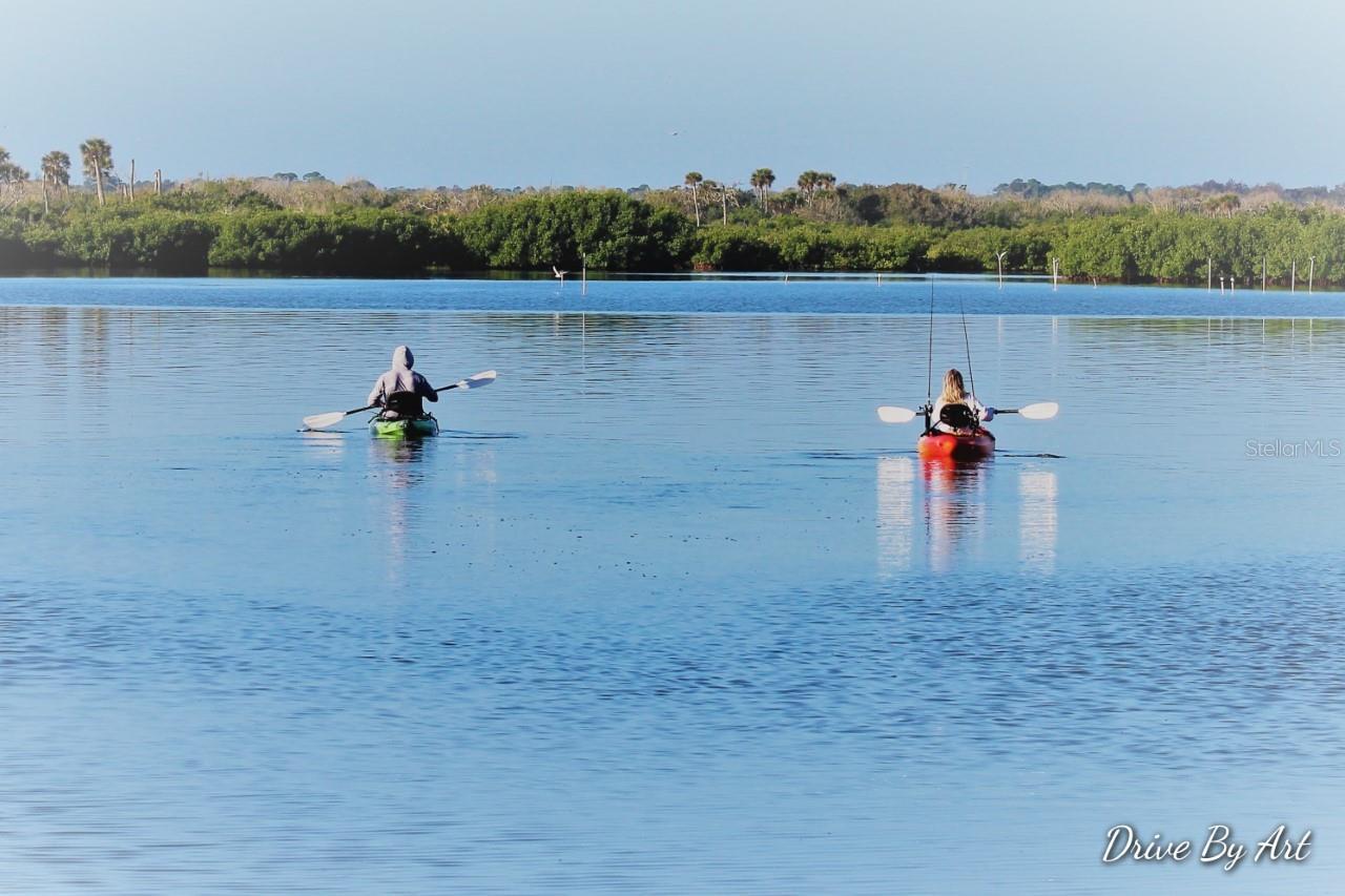 Image 72 of 82 For 121 Palm Way