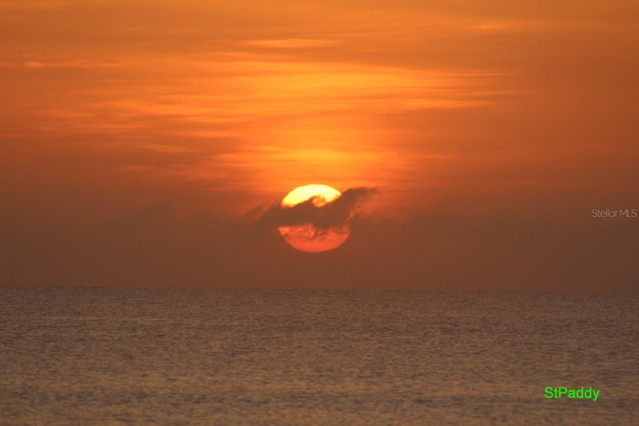 Image 75 of 82 For 121 Palm Way