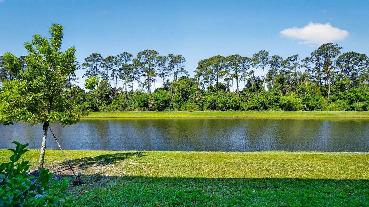 Image 64 of 65 For 28 Bella Lago Circle