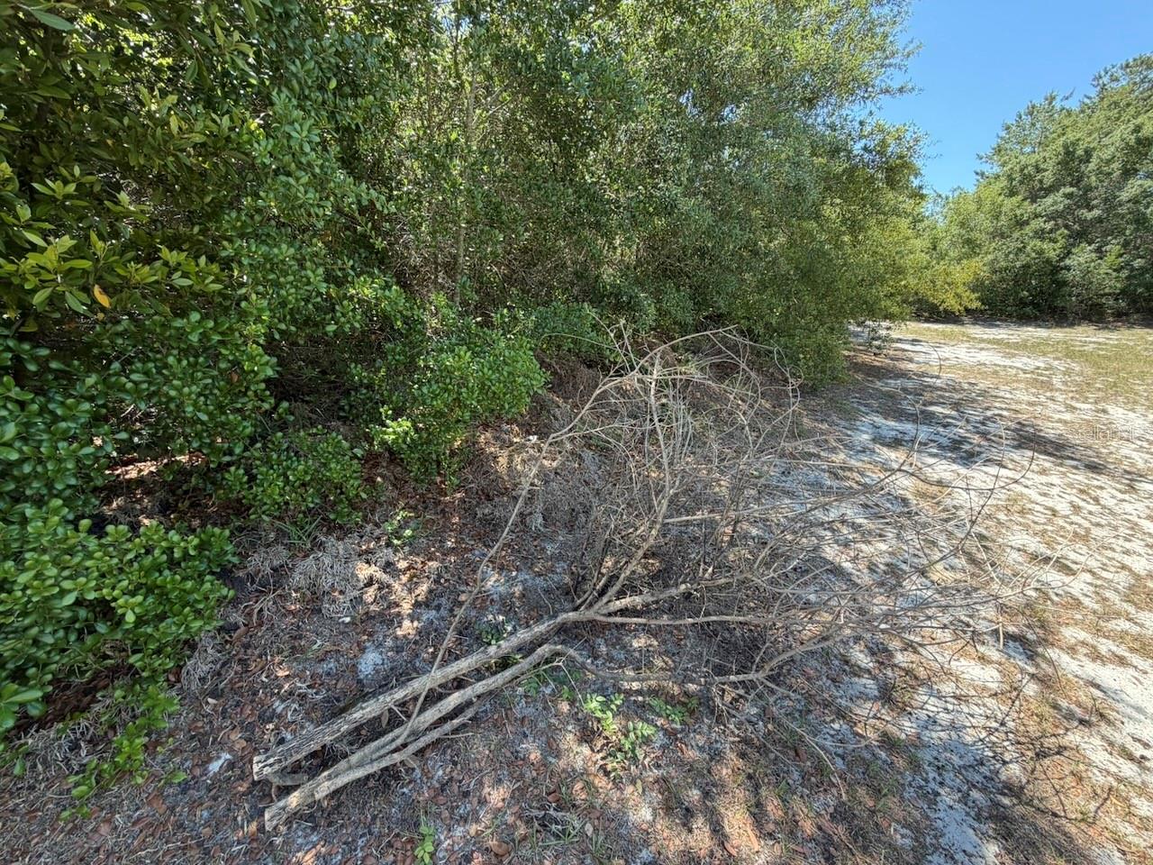 Image 4 of 8 For Lots 37 & 38 Katmai Drive