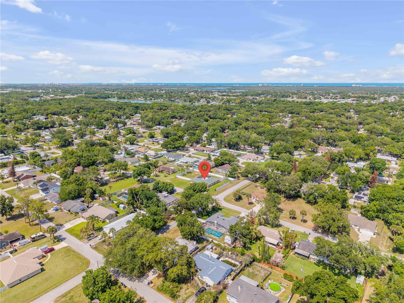 Image 36 of 39 For 1529 Sabal Palm Drive