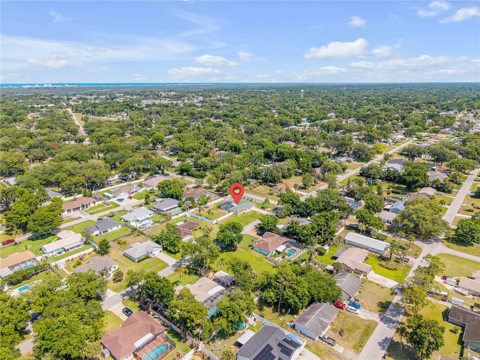 Image 37 of 39 For 1529 Sabal Palm Drive