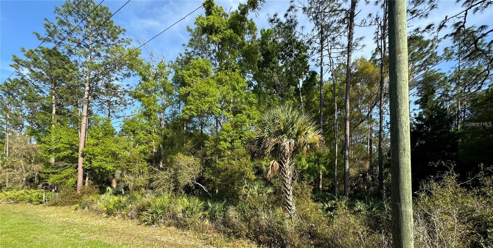 Image 1 of 1 For 10070 Dunnellon Road