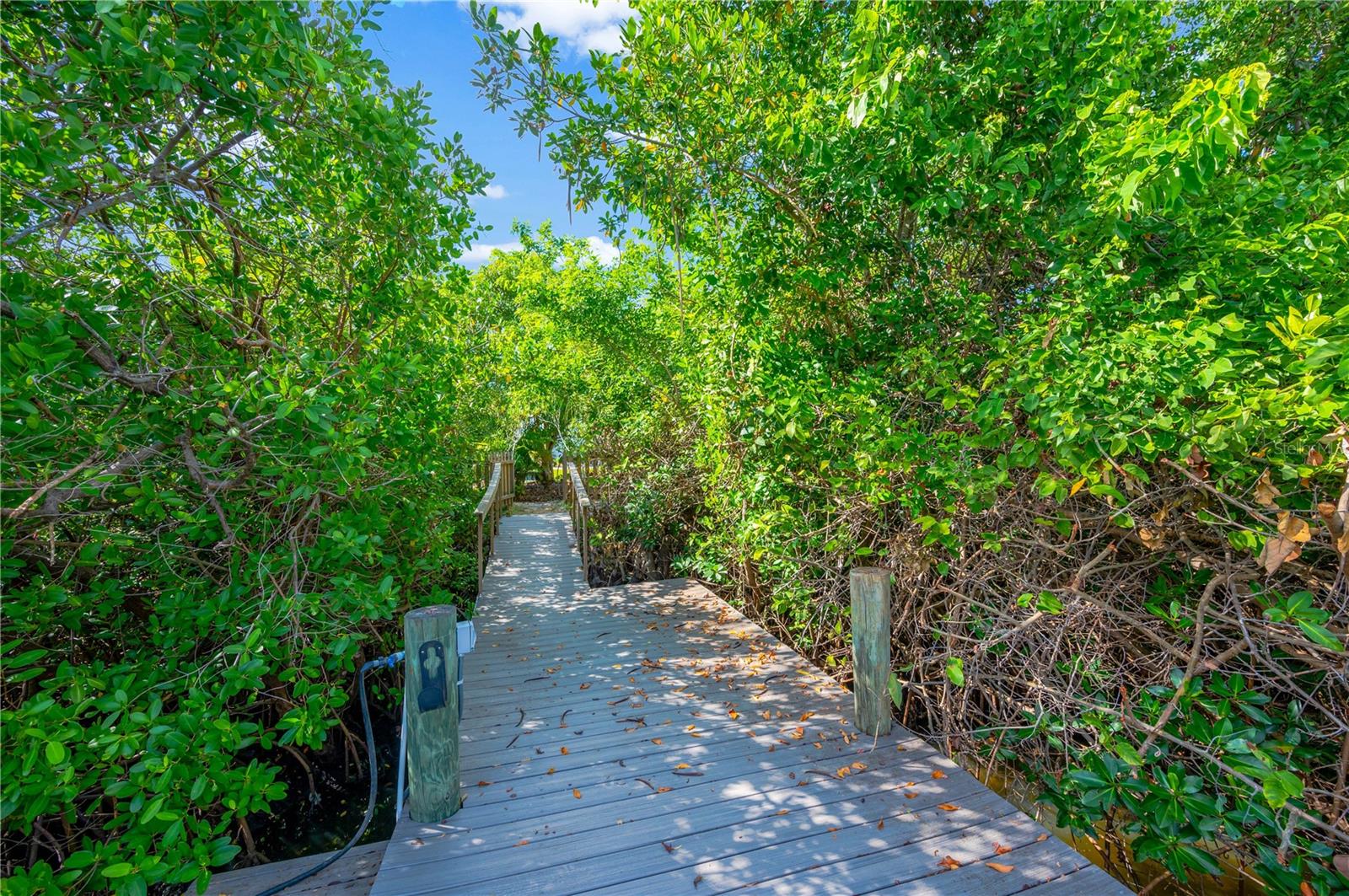Listing photo id 36 for 6419 Marbella Boulevard