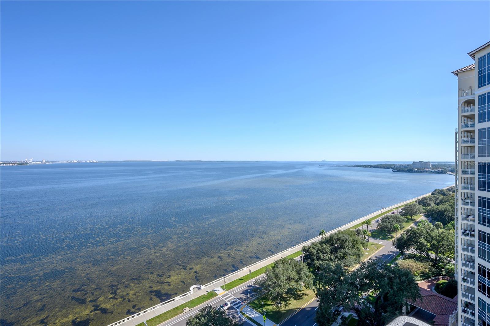 Image 31 of 39 For 4141 Bayshore Boulevard 1702