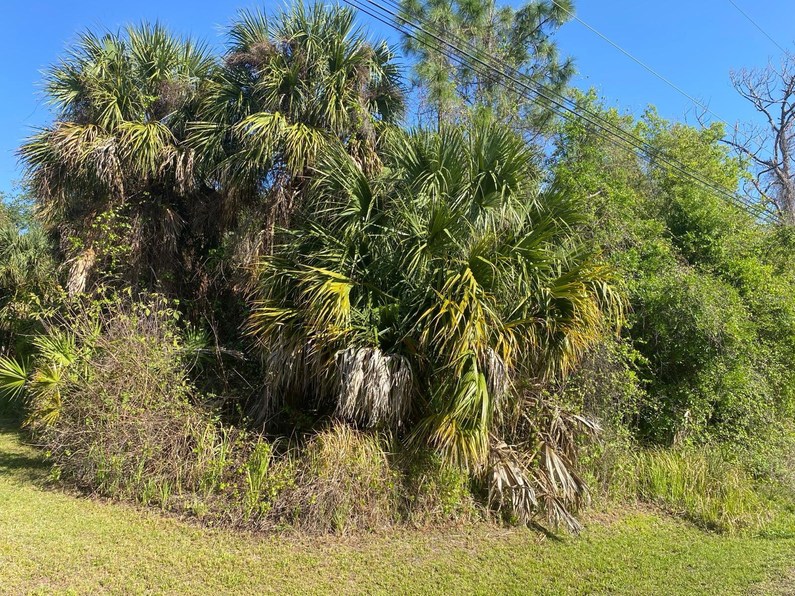 Details for Marcella Terrace, NORTH PORT, FL 34286