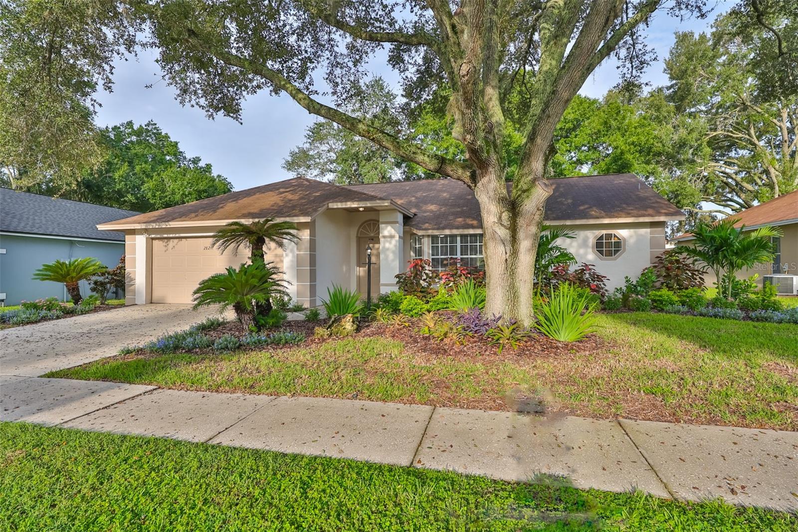 Details for 28211 Tanglewood Drive, WESLEY CHAPEL, FL 33543