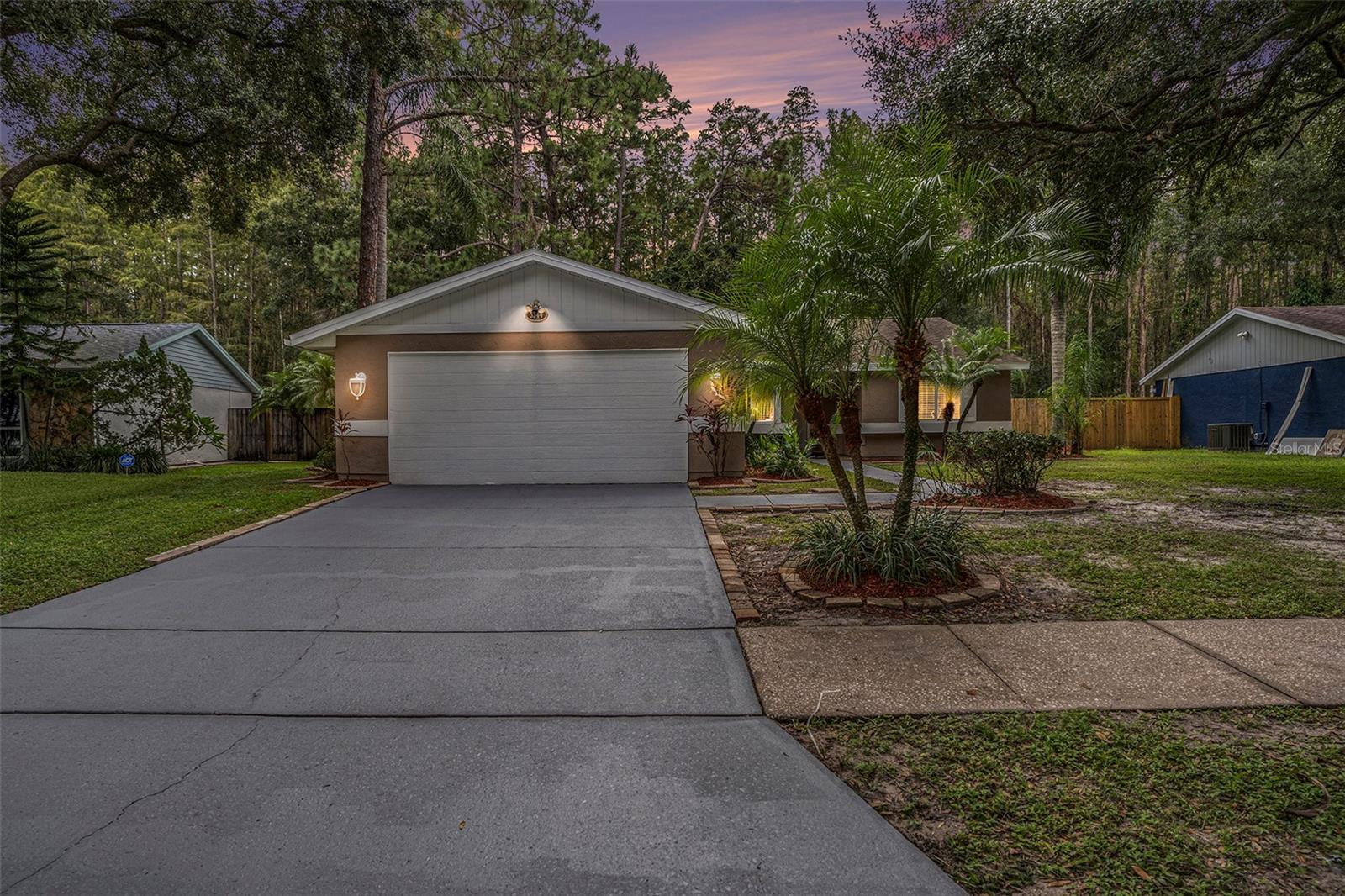 Details for 5344 Black Pine Drive, TAMPA, FL 33624