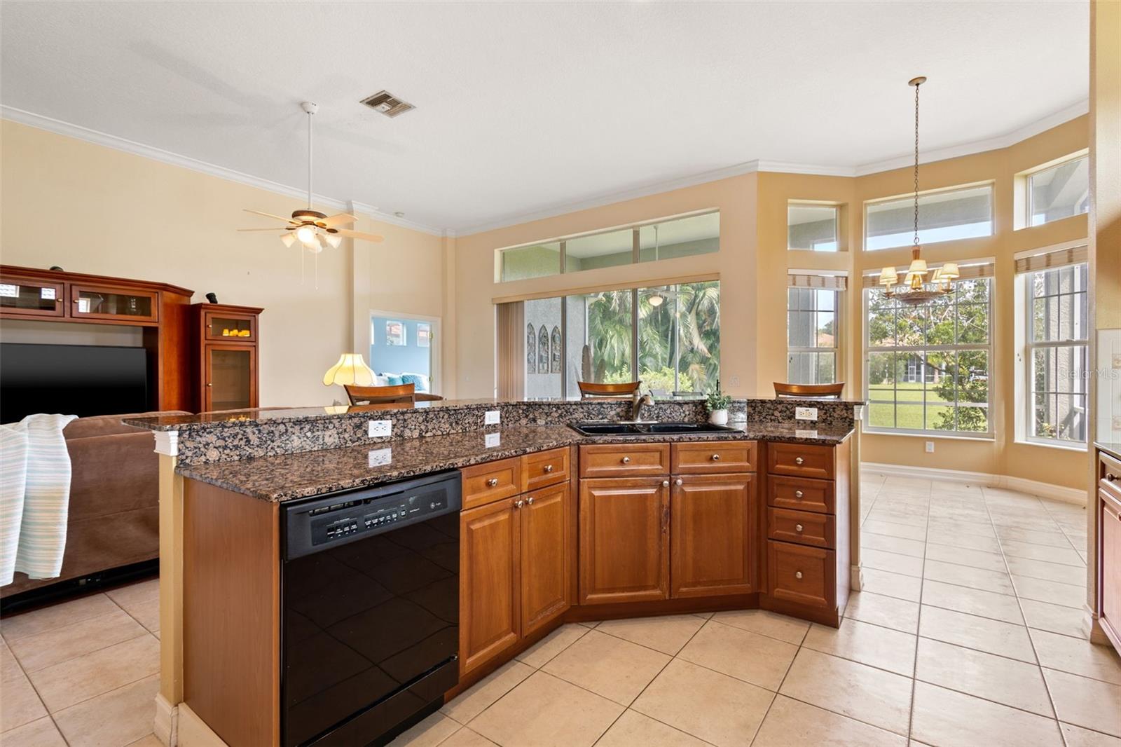 Listing photo id 9 for 9932 Sago Point Drive