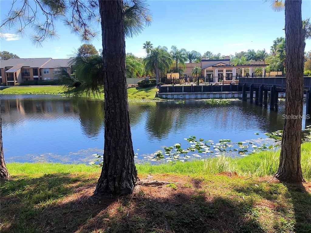 Details for 500 Belcher Road S 211, LARGO, FL 33771