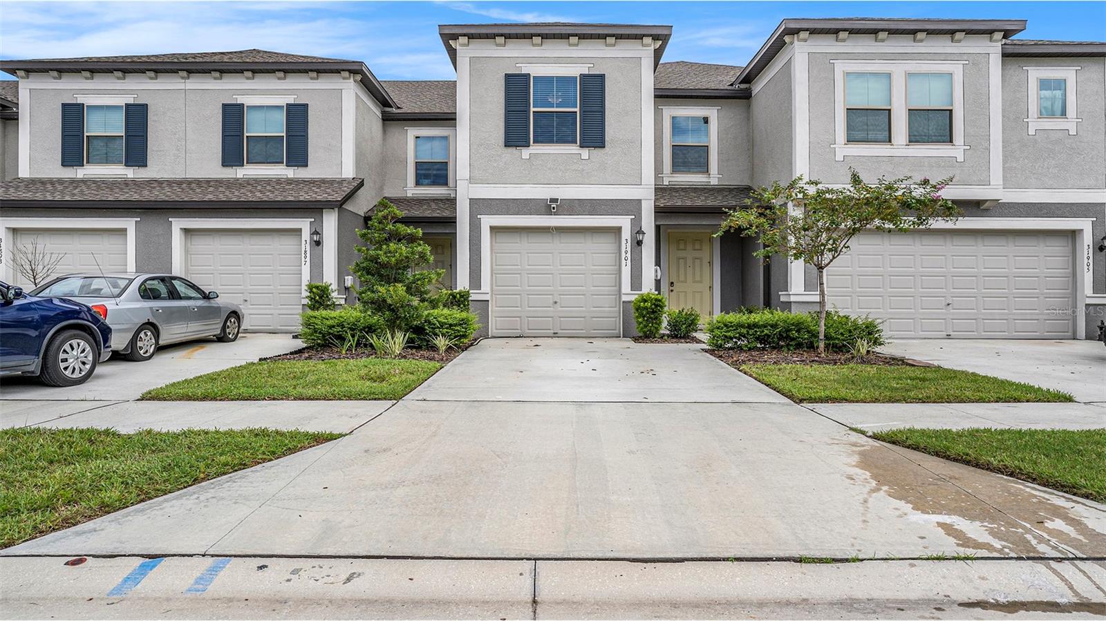 Details for 31901 Blue Passing Loop, WESLEY CHAPEL, FL 33545