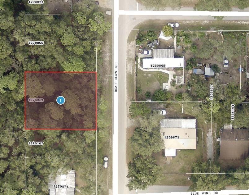 Details for Lots 11 & 12 Bear Claw Road, ALTOONA, FL 32702