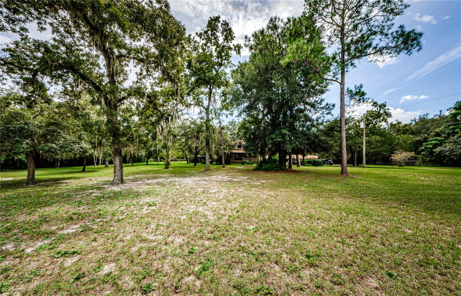 Listing photo id 54 for 10128 Shady Drive