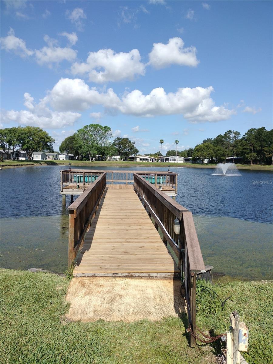 Image 44 of 51 For 34045 Brown Bayou