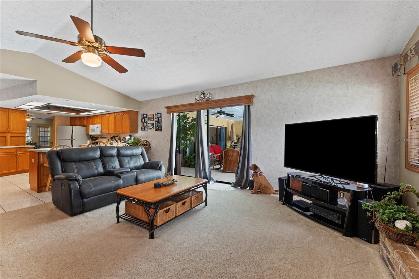 Listing photo id 11 for 3515 Springville Drive