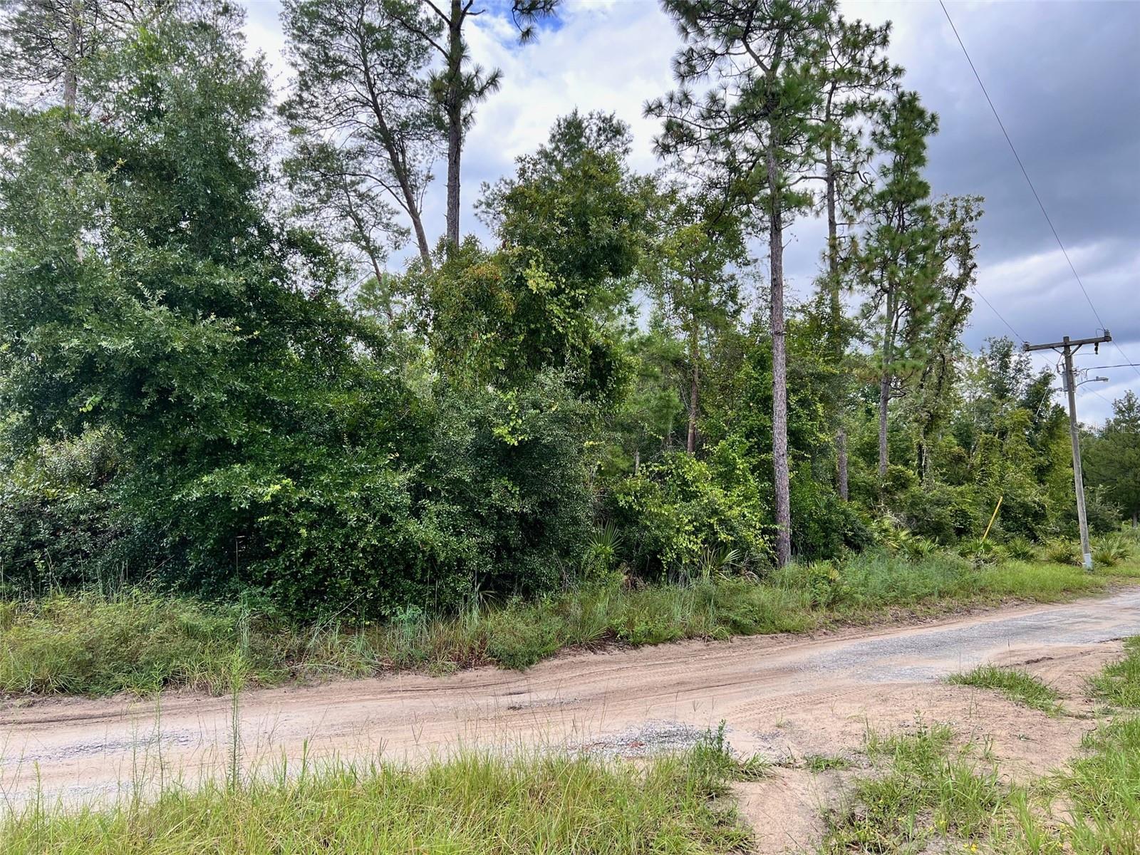 Details for Lot 66 1st Street, ALTOONA, FL 32702