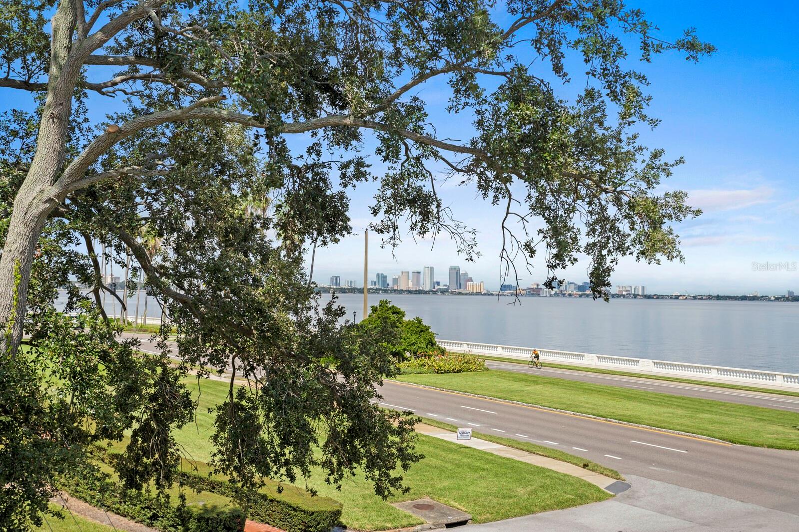 Listing photo id 52 for 3801 Bayshore Boulevard