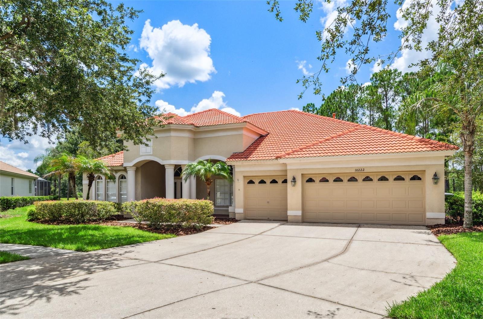 Details for 10222 Arbor Side Drive, TAMPA, FL 33647