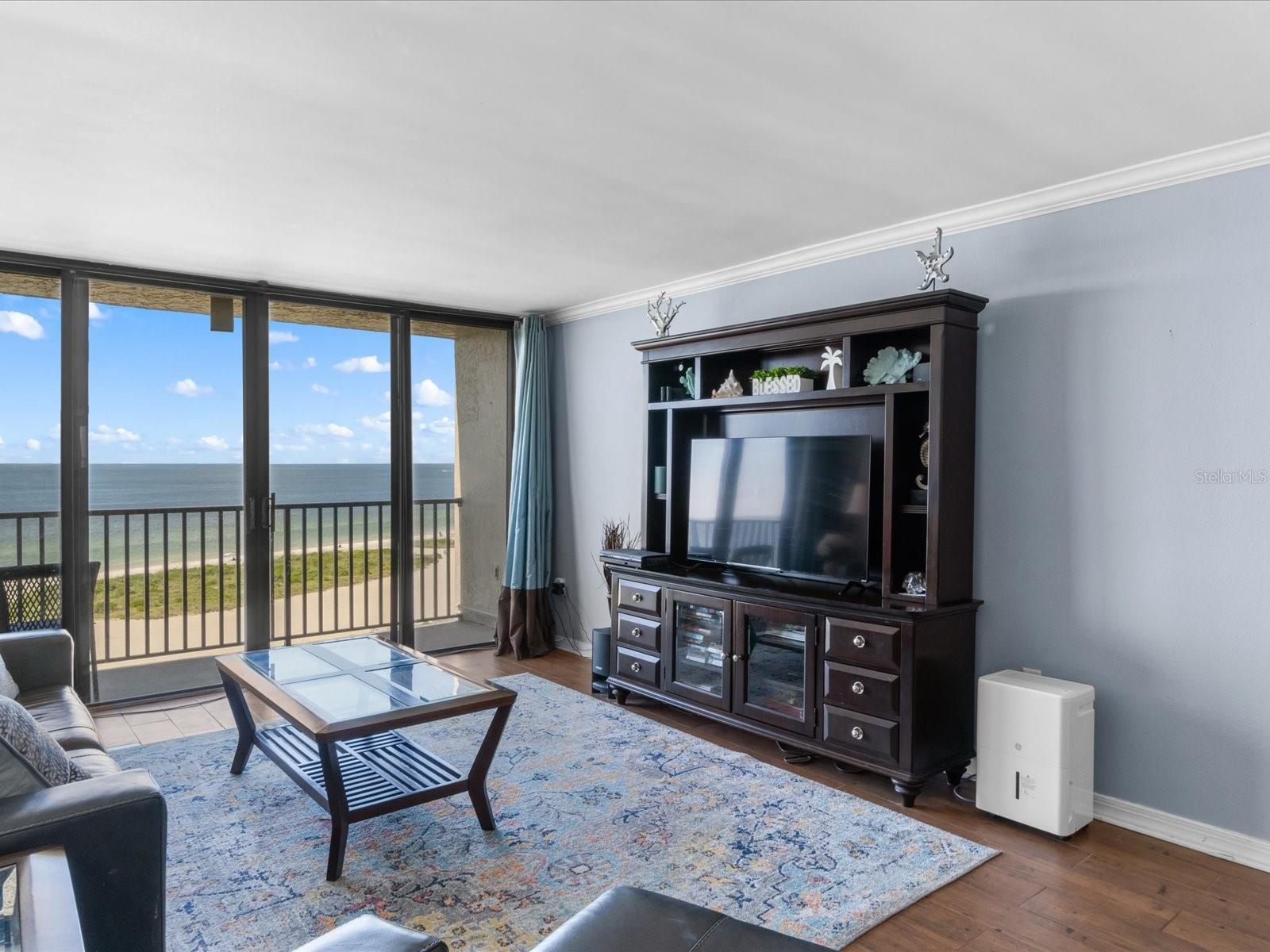 Image 9 of 48 For 1290 Gulf Boulevard 903