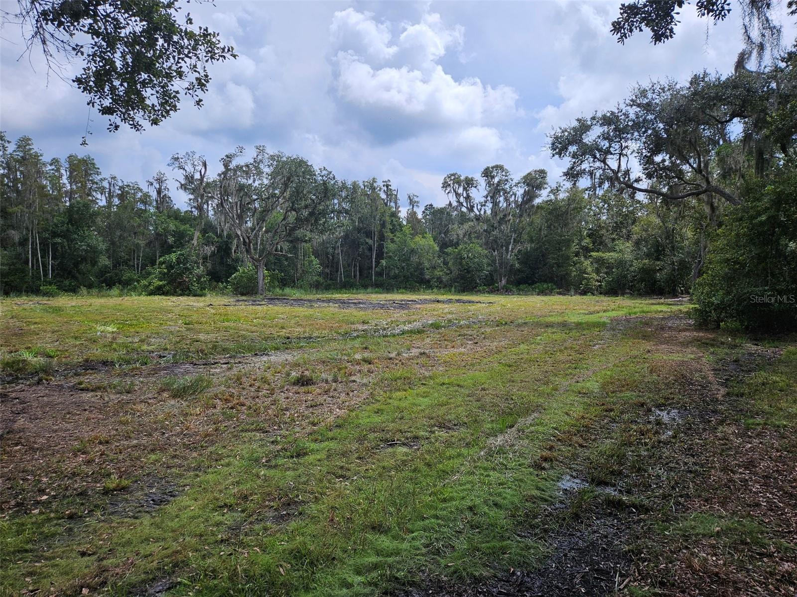 Details for  Candis Rd.  , PLANT CITY, FL 33565