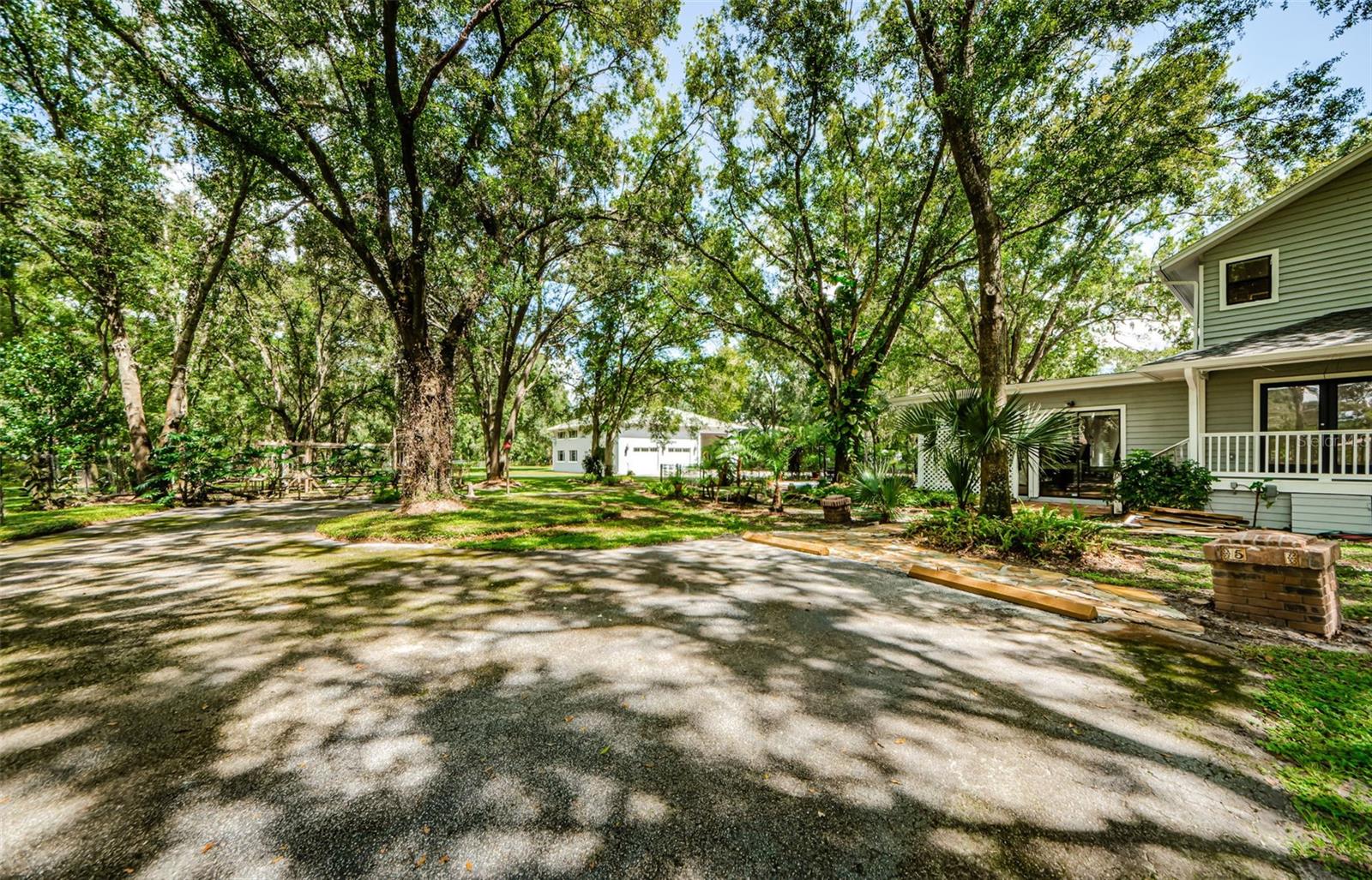 Listing photo id 79 for 5455 Lake Le Clare Road