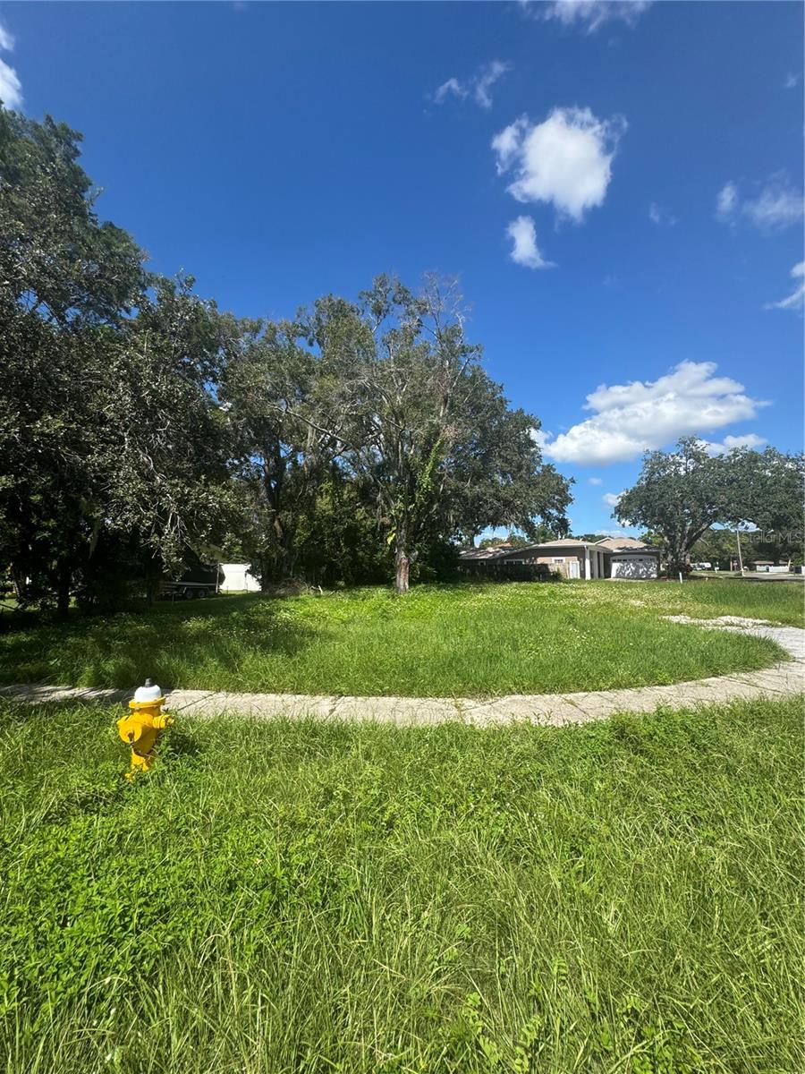 Details for 113 Shore Drive Place, OLDSMAR, FL 34677