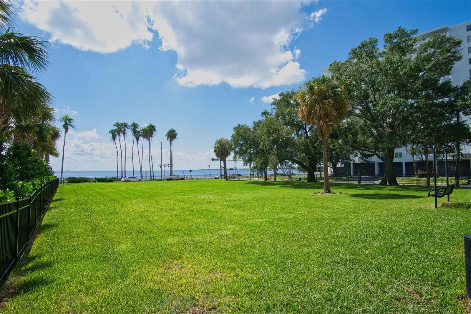 Image 4 of 31 For 2109 Bayshore Boulevard 207