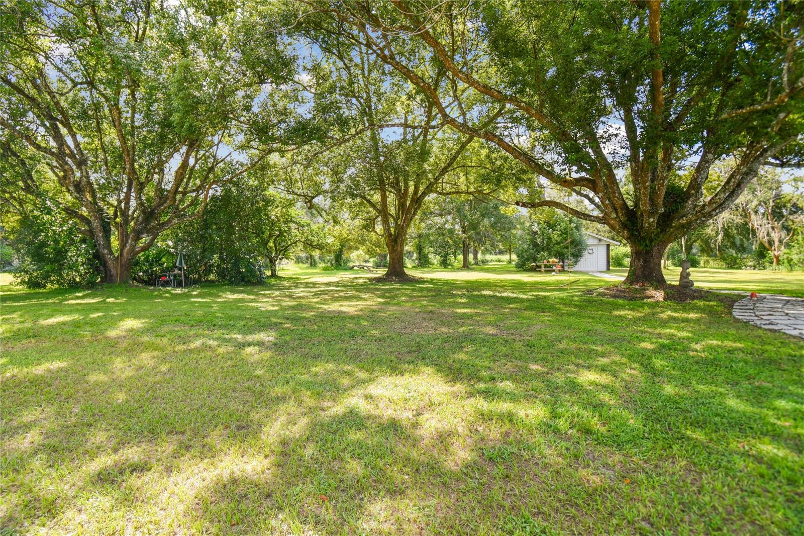 Listing photo id 81 for 17318 Hanna Road