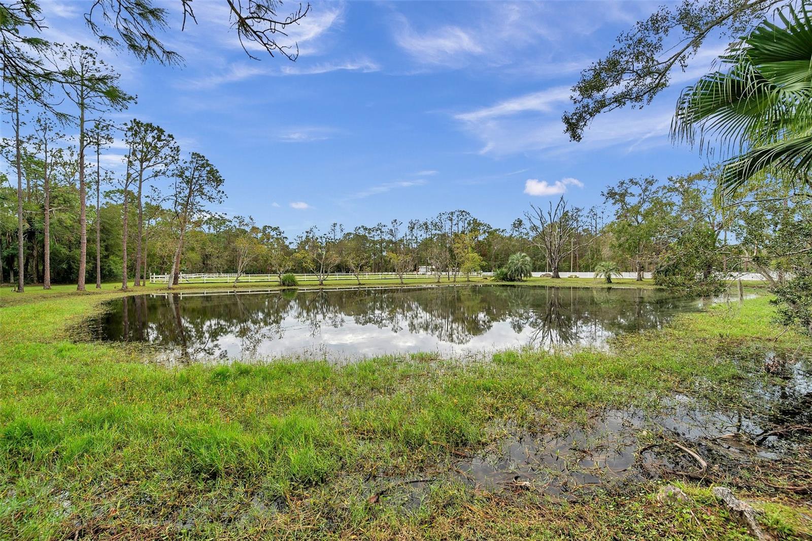 Image 92 of 93 For 655 Appaloosa Road