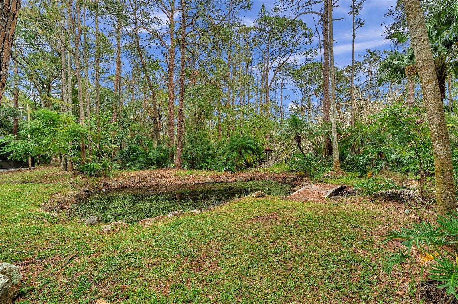 Image 93 of 93 For 655 Appaloosa Road