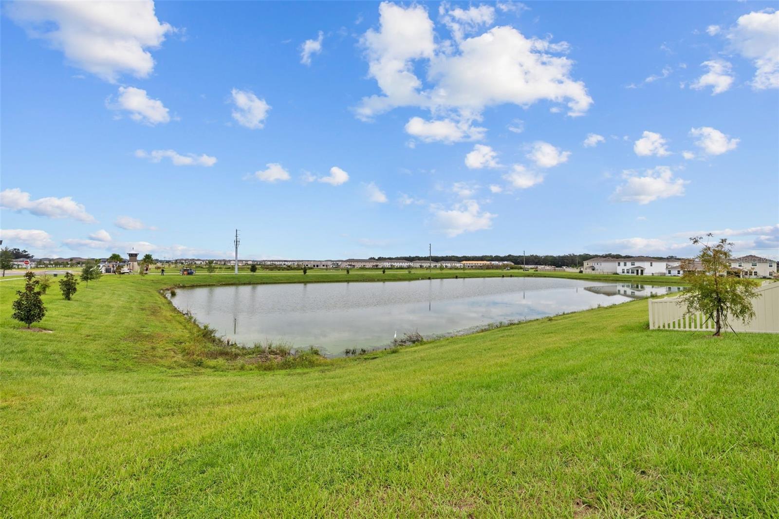 Image 49 of 81 For 32003 Conchshell Sail Street