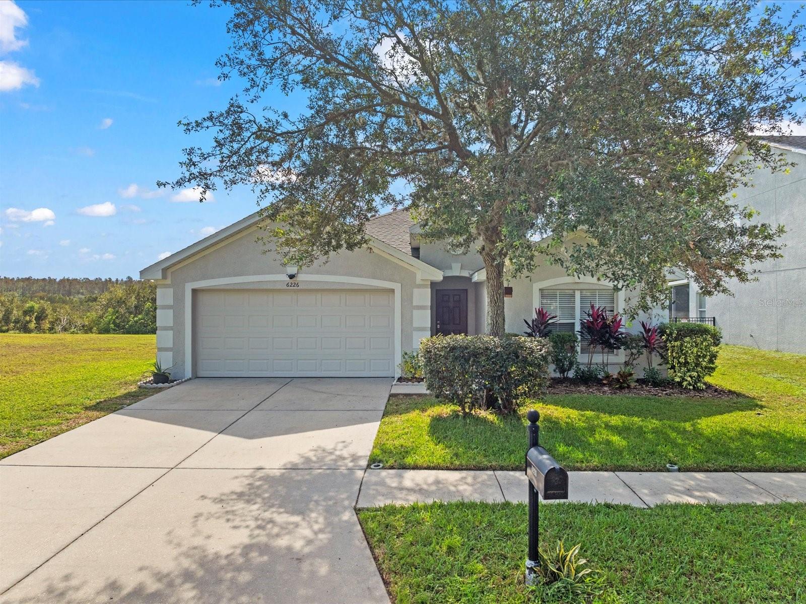 Details for 6226 Desert Peace Avenue, LAND O LAKES, FL 34639