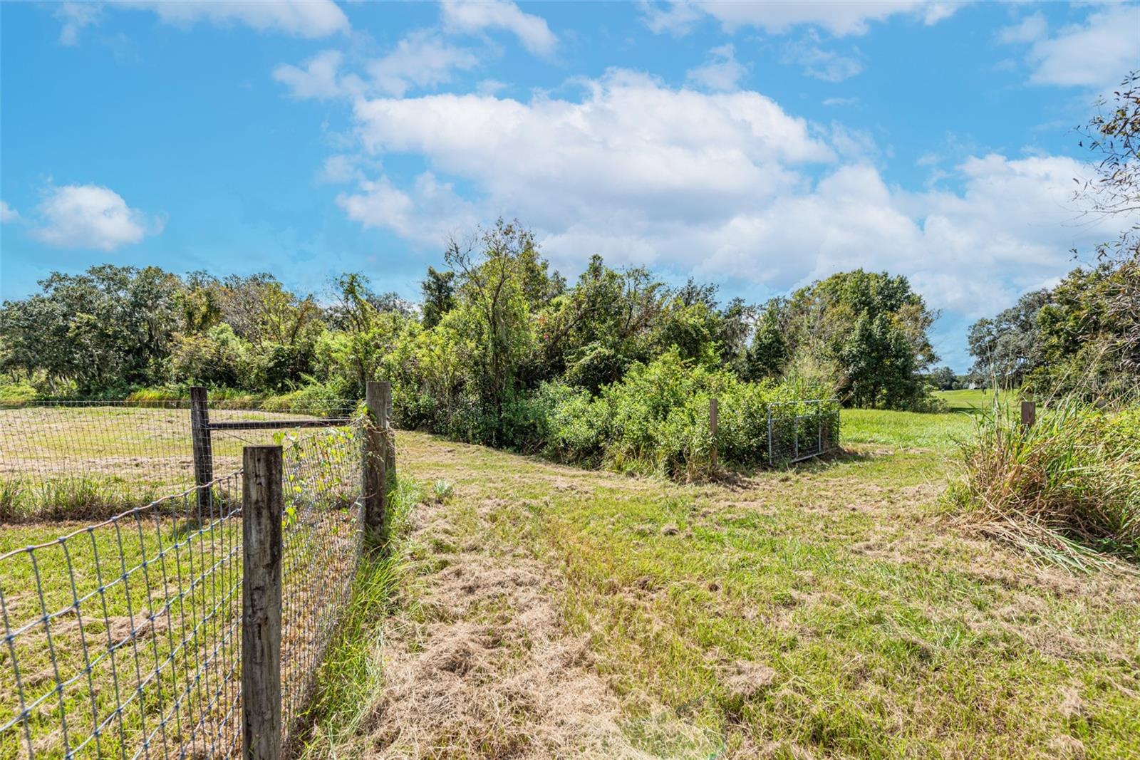 Image 59 of 60 For 8703 Alafia Hills Drive