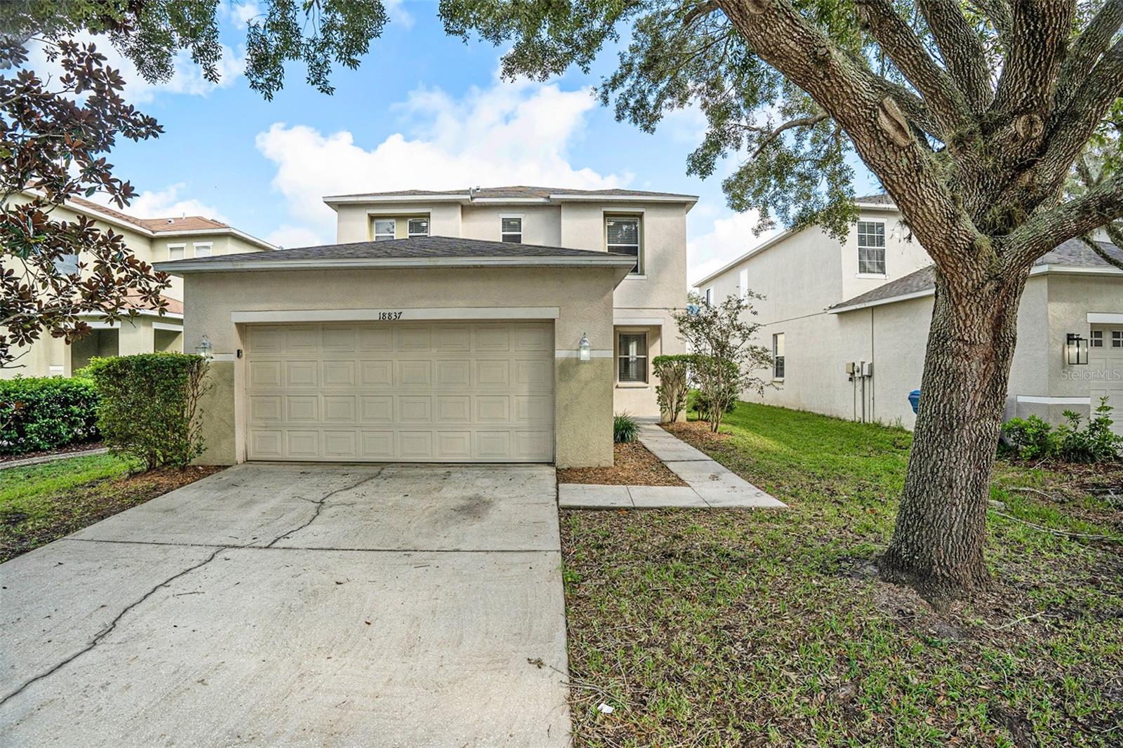 Details for 18837 Litzau Lane, LAND O LAKES, FL 34638