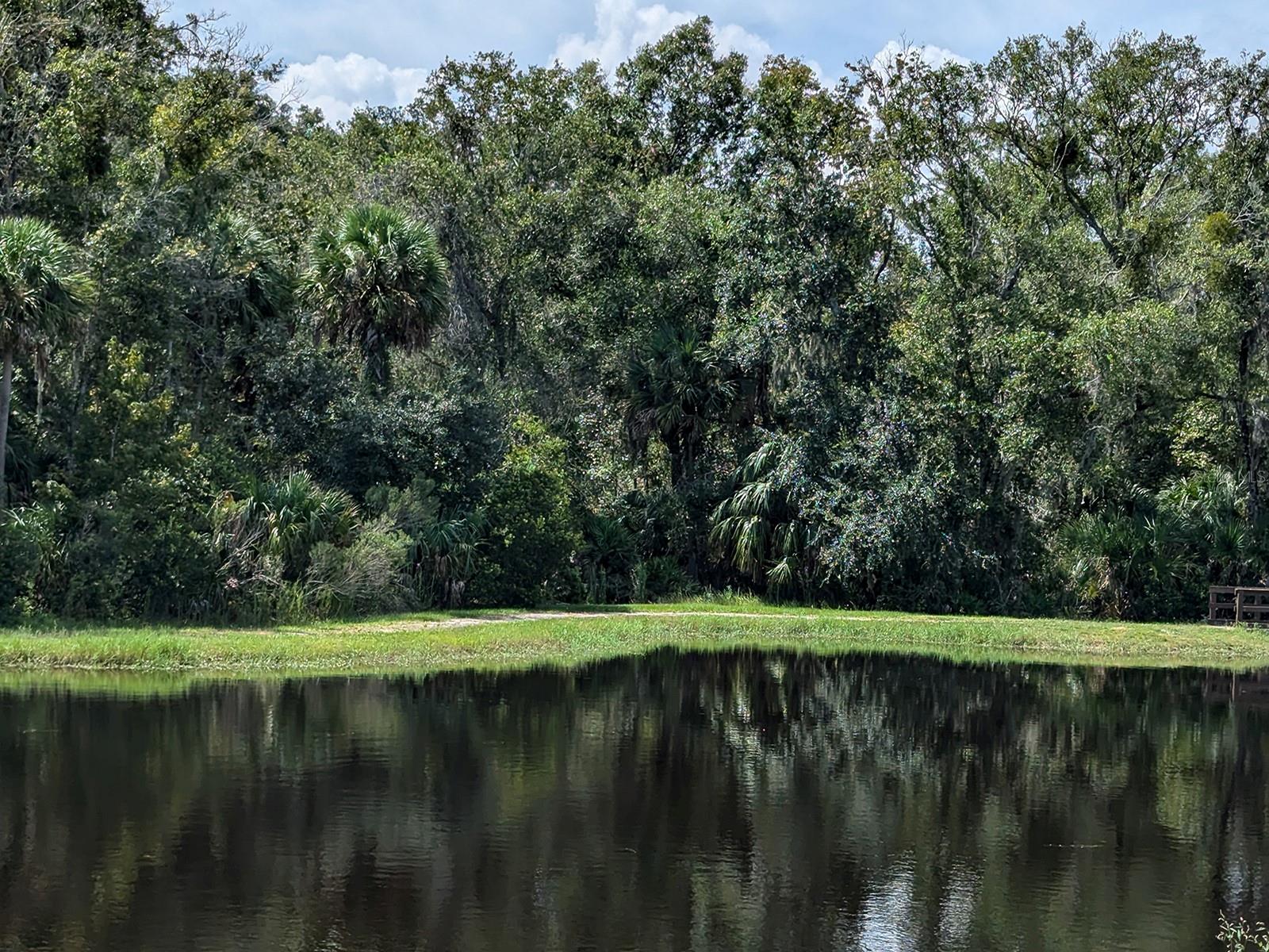 Image 3 of 62 For 28442 Tranquil Lake Circle