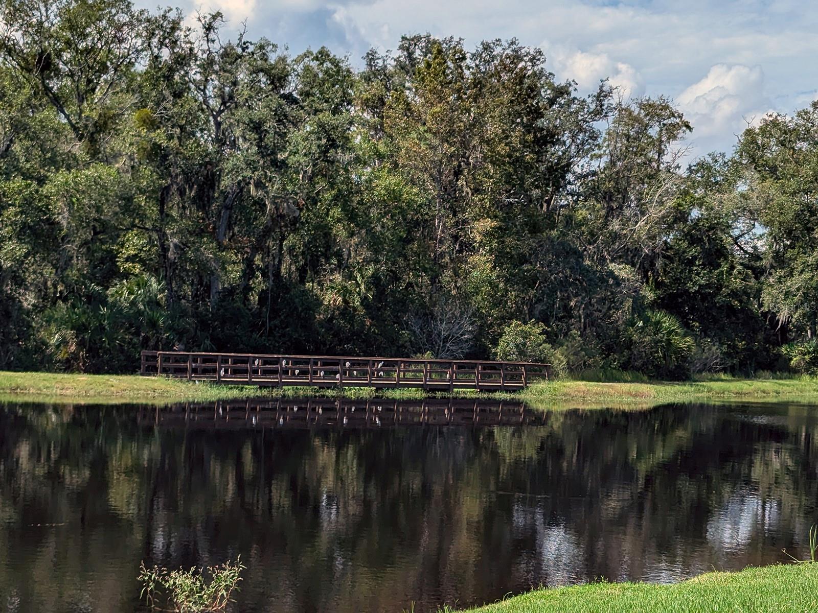 Image 4 of 65 For 28442 Tranquil Lake Circle