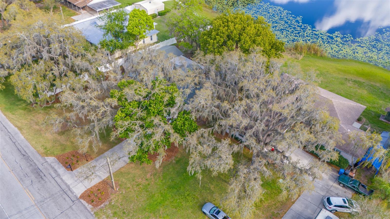 Image 84 of 89 For 10502 Tarpon Springs Rd