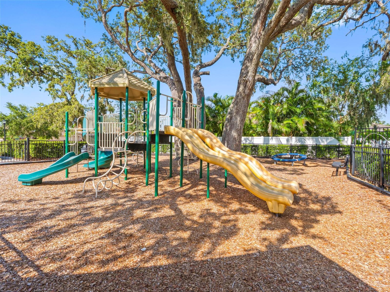 Listing photo id 40 for 12820 Belvedere Song Way