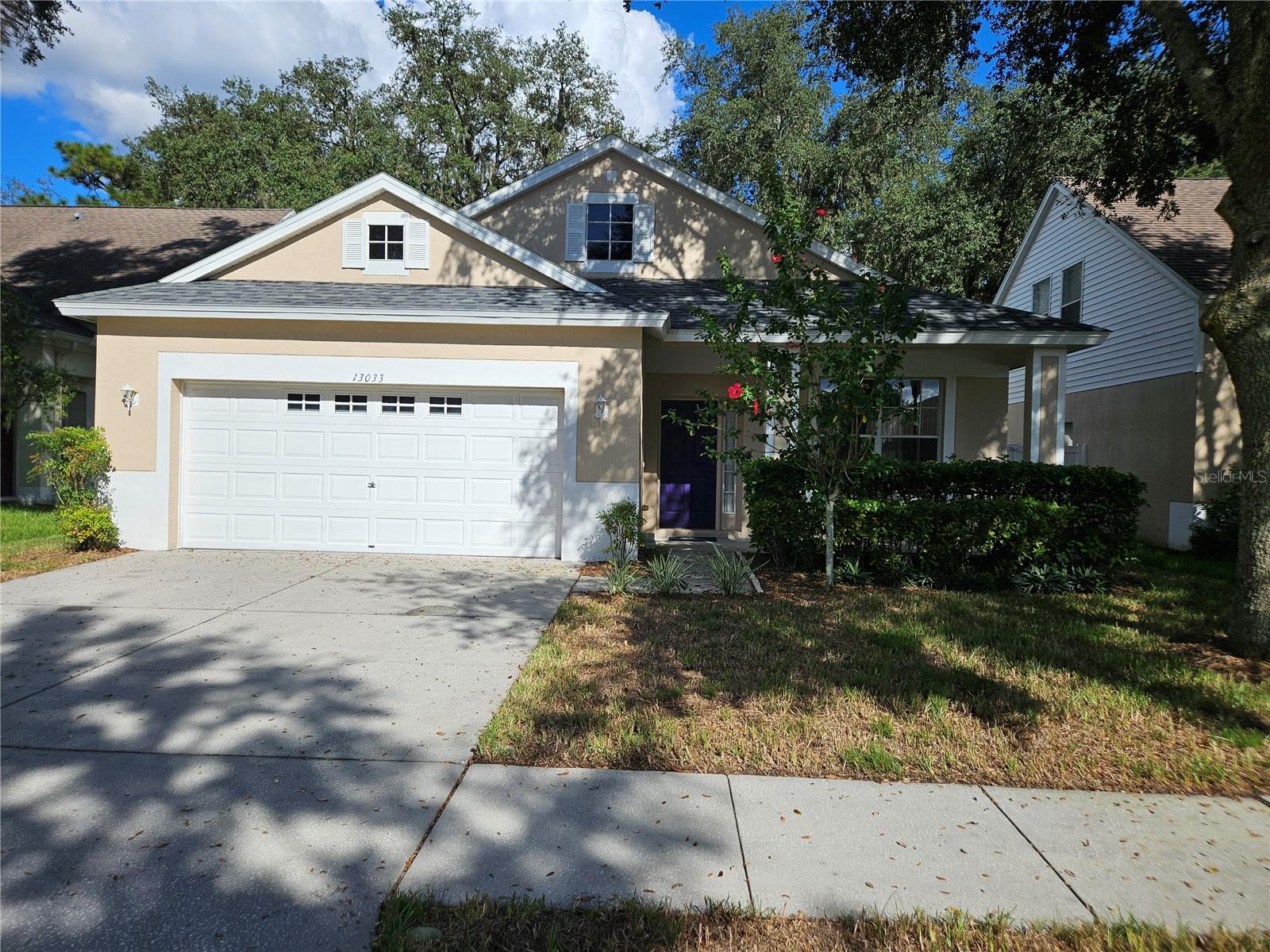 Details for 13033 Terrace Springs Drive, TEMPLE TERRACE, FL 33637