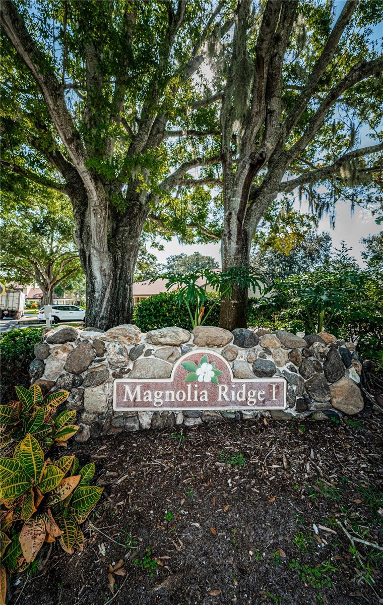 Image 57 of 60 For 3508 Magnolia Ridge Circle 301