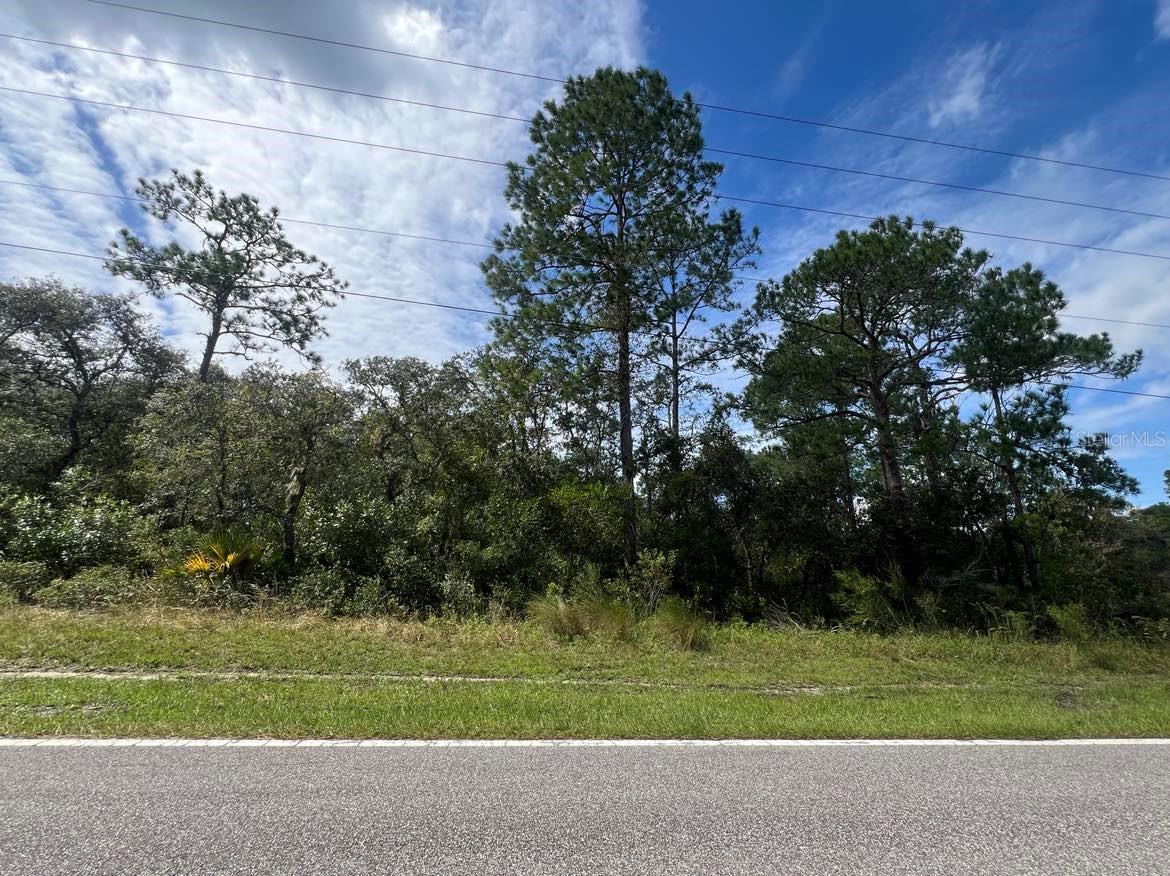 Details for 00 Richardson Boulevard Lot #1, WEBSTER, FL 33597