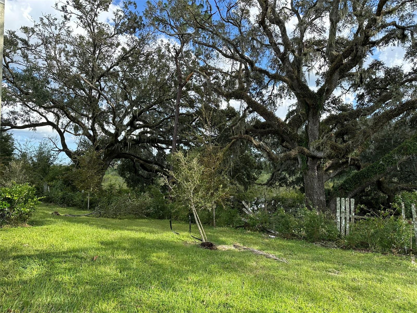 Image 9 of 37 For 30822 Veridian Way