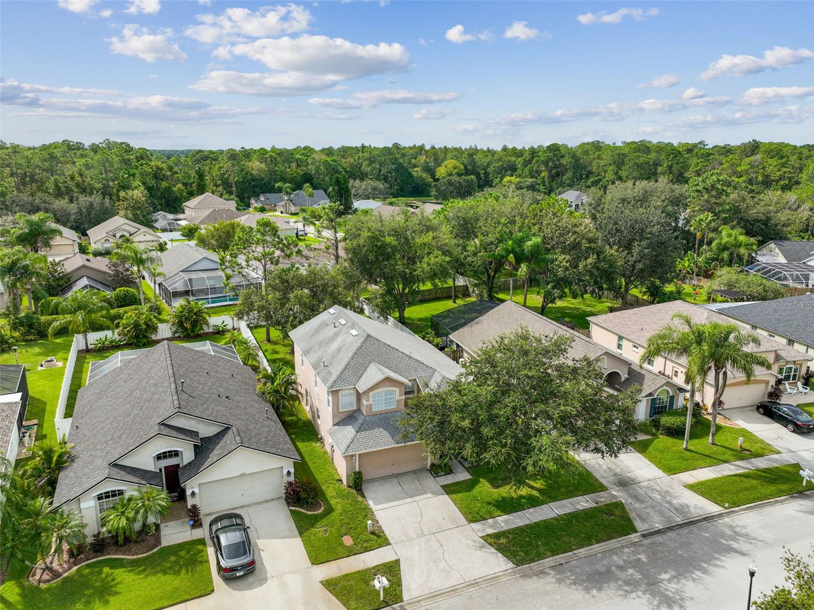 Image 80 of 100 For 12520 Sparkleberry Road