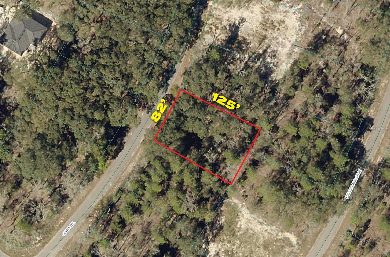 Details for  Guava Trail  , OCKLAWAHA, FL 32179