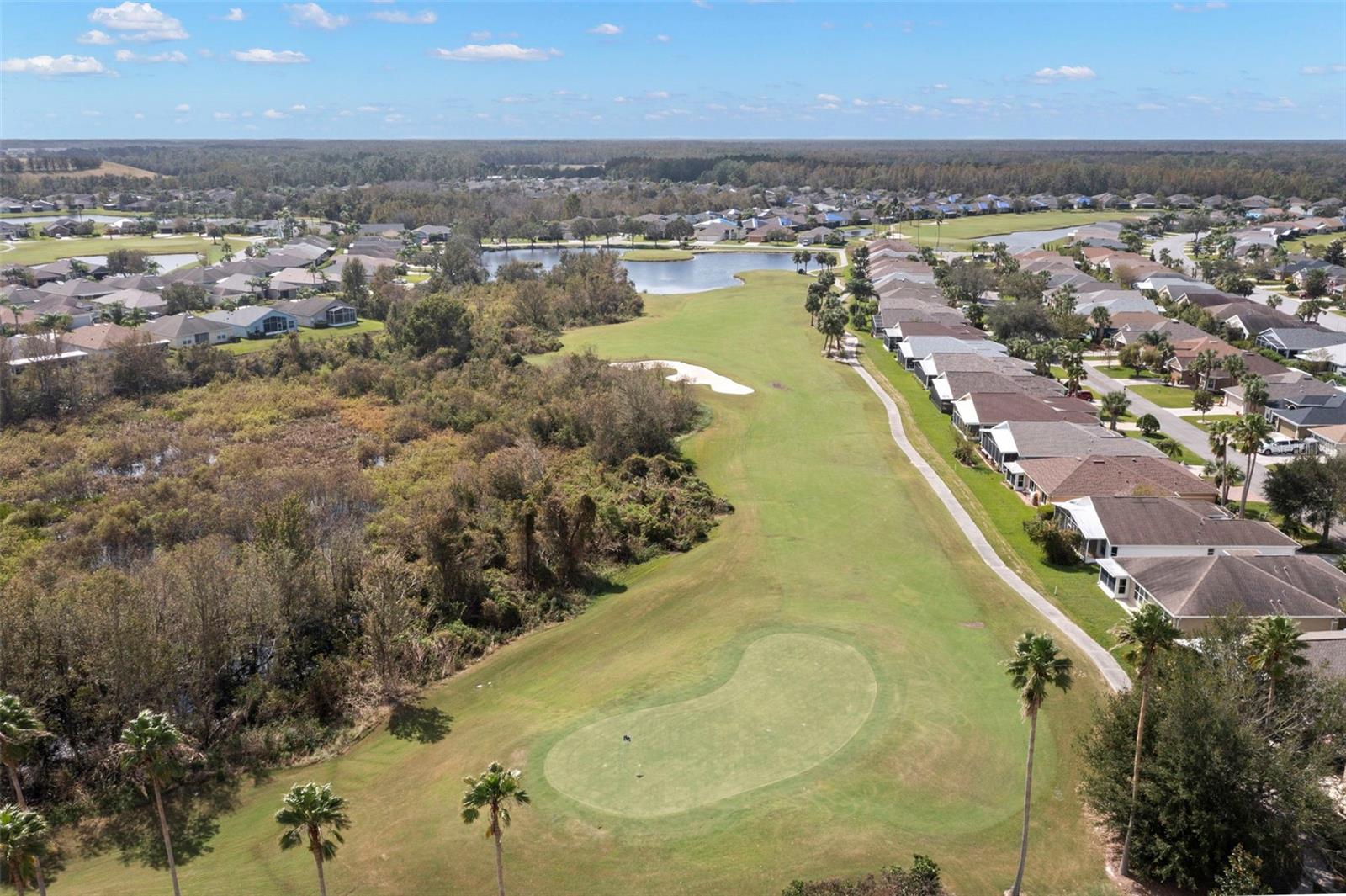 Image 8 of 45 For 29624 Tee Shot Drive